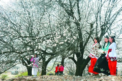 710公海线路检测中心 专业线路检测设备